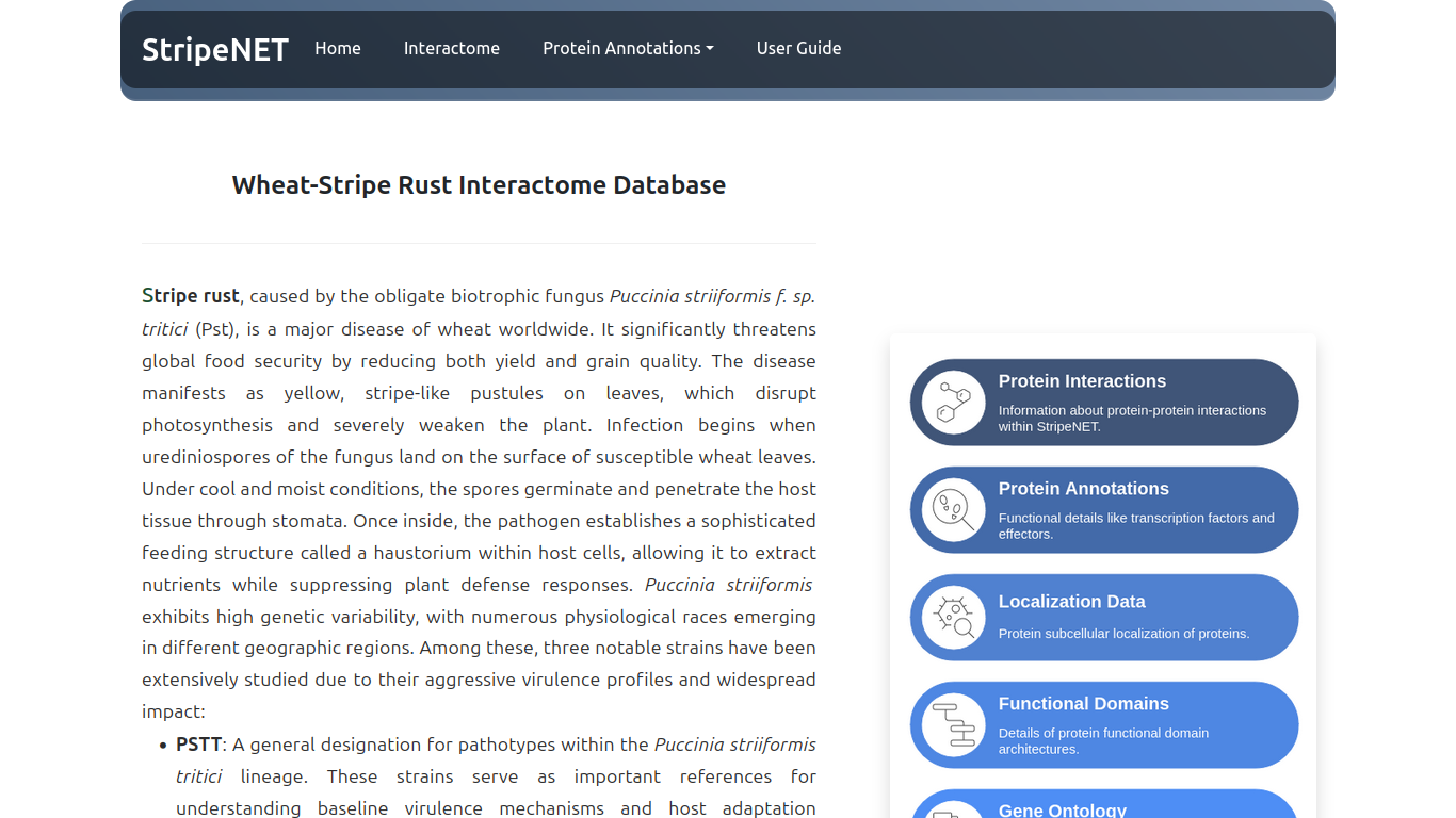 StripeNET web page.